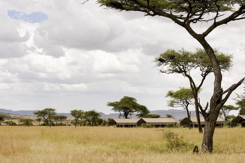 Rundreise Safari Tansania Explorer, Tansania, Arusha, Bild 13