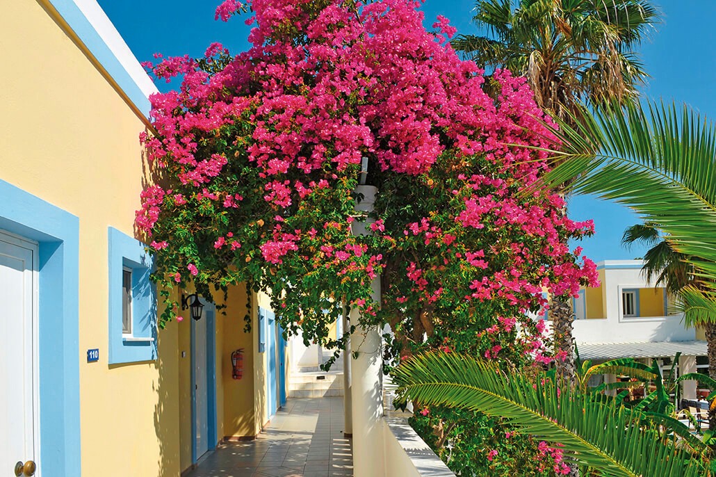 Hotel Cavo D'oro, Griechenland, Kos, Marmari, Bild 13
