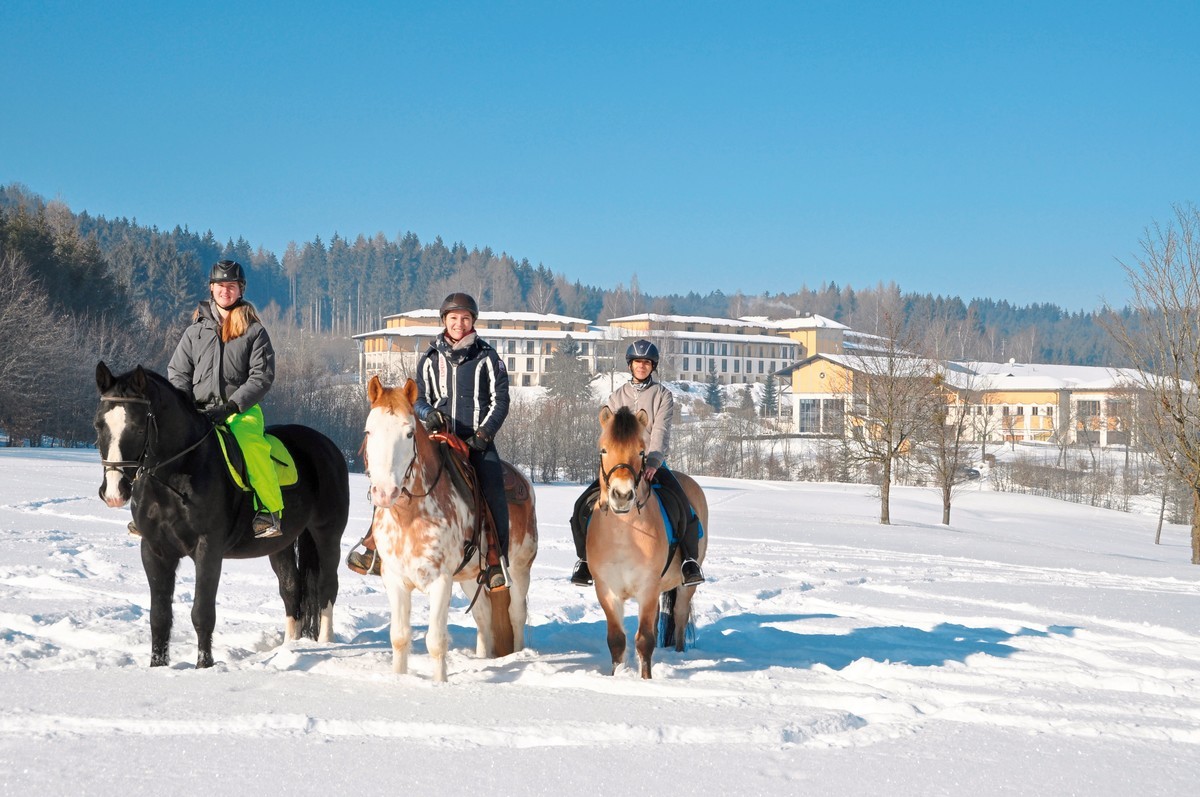Hotel Aldiana Club Ampflwang, Österreich, Oberösterreich, Ampflwang im Hausruckwald, Bild 38