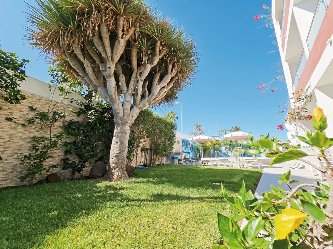 Hotel Bogotá, Spanien, Gran Canaria, Playa del Inglés, Bild 5