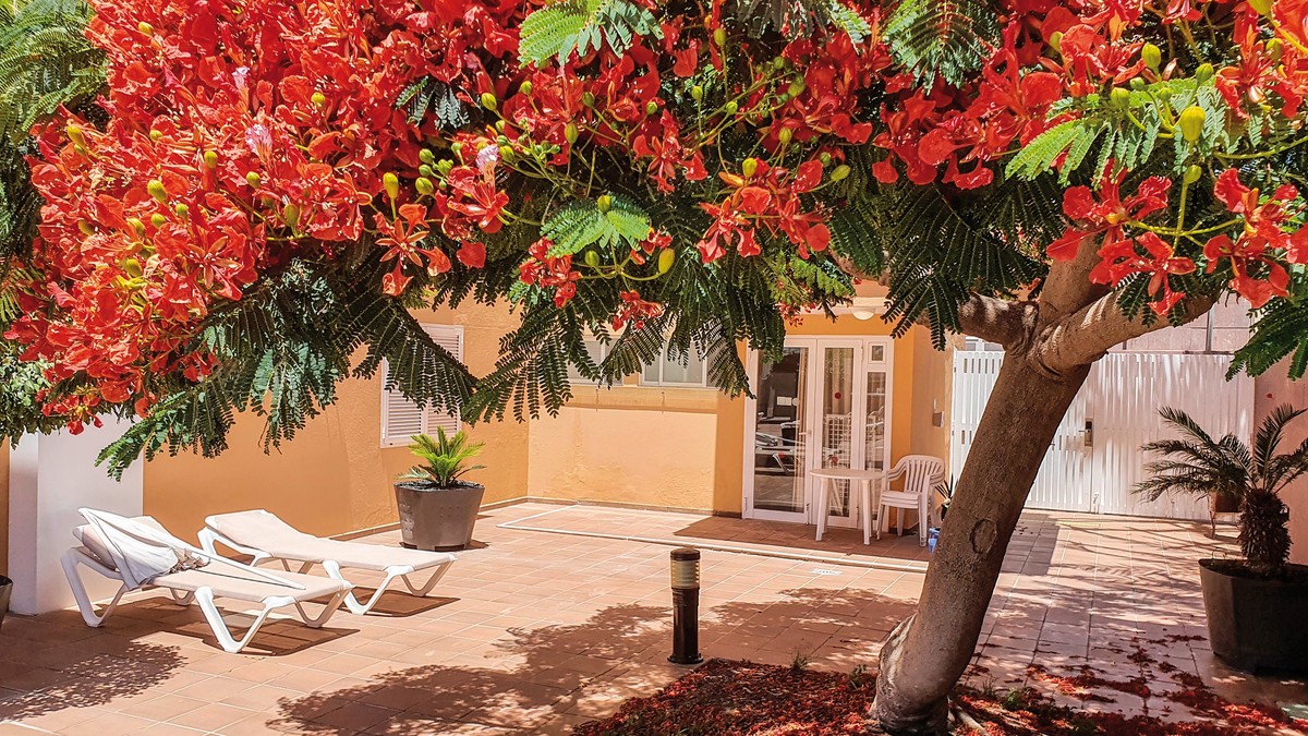 Hotel Horizonte, Spanien, Gran Canaria, Playa del Inglés, Bild 11