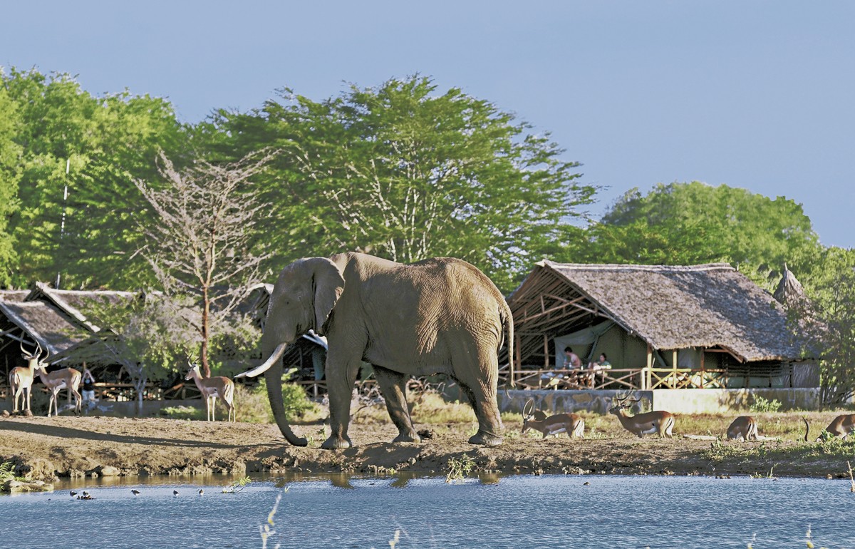 Hotel Severin Sea Lodge, Kenia, Bamburi Beach, Bild 49