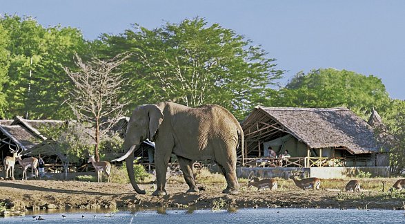 Hotel Severin Sea Lodge, Kenia, Bamburi Beach, Bild 26