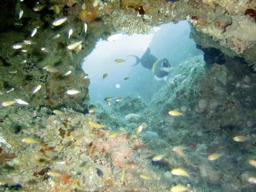 Bahari Beach Hotel, Kenia, Mombasa, Bild 42
