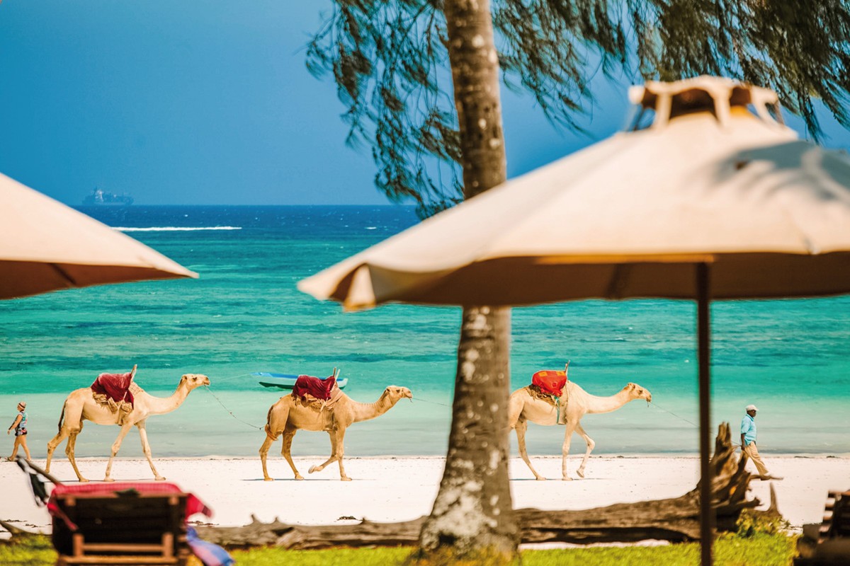 Hotel Nomad Beach Resort, Kenia, Diani Beach, Bild 5