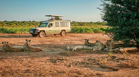 Hotel Papillon Lagoon Reef, Kenia, Diani Beach, Bild 20