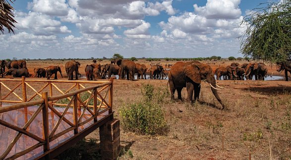 Hotel Papillon Lagoon Reef, Kenia, Diani Beach, Bild 27