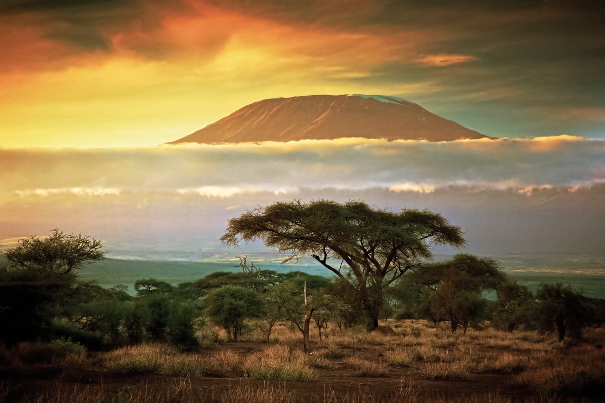 Rundreise Safari Tsavo und Amboseli, Kenia, Mombasa, Tsavo & Abmoseli, Bild 1