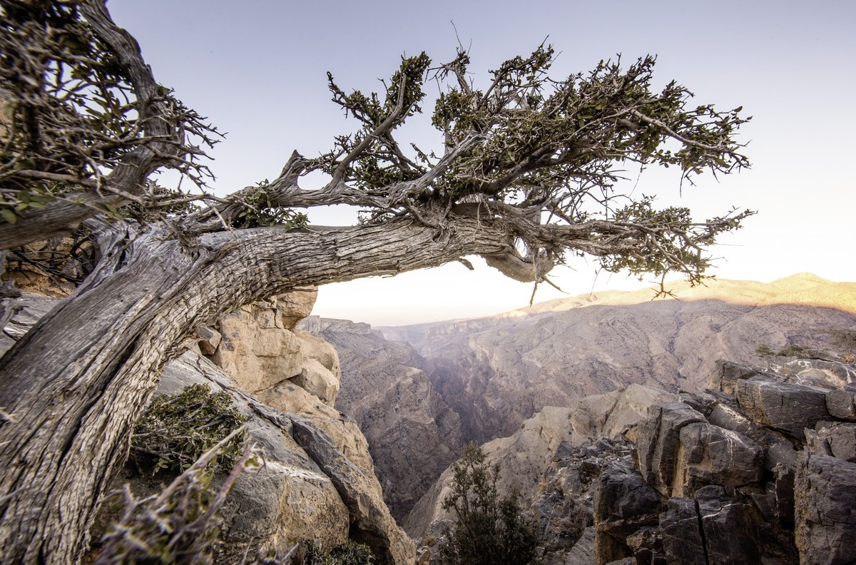 Hotel Alila Jabal Akhdar, Oman, Nizwa, Bild 32