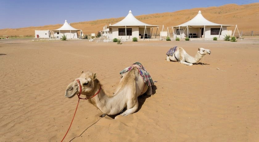 Hotel Desert Nights Resort, Oman, Wahiba Sands, Bild 16