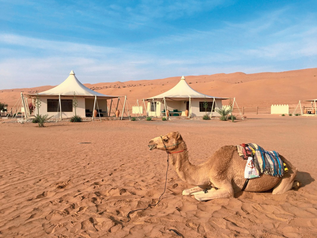 Hotel Desert Nights Resort, Oman, Wahiba Sands, Bild 5
