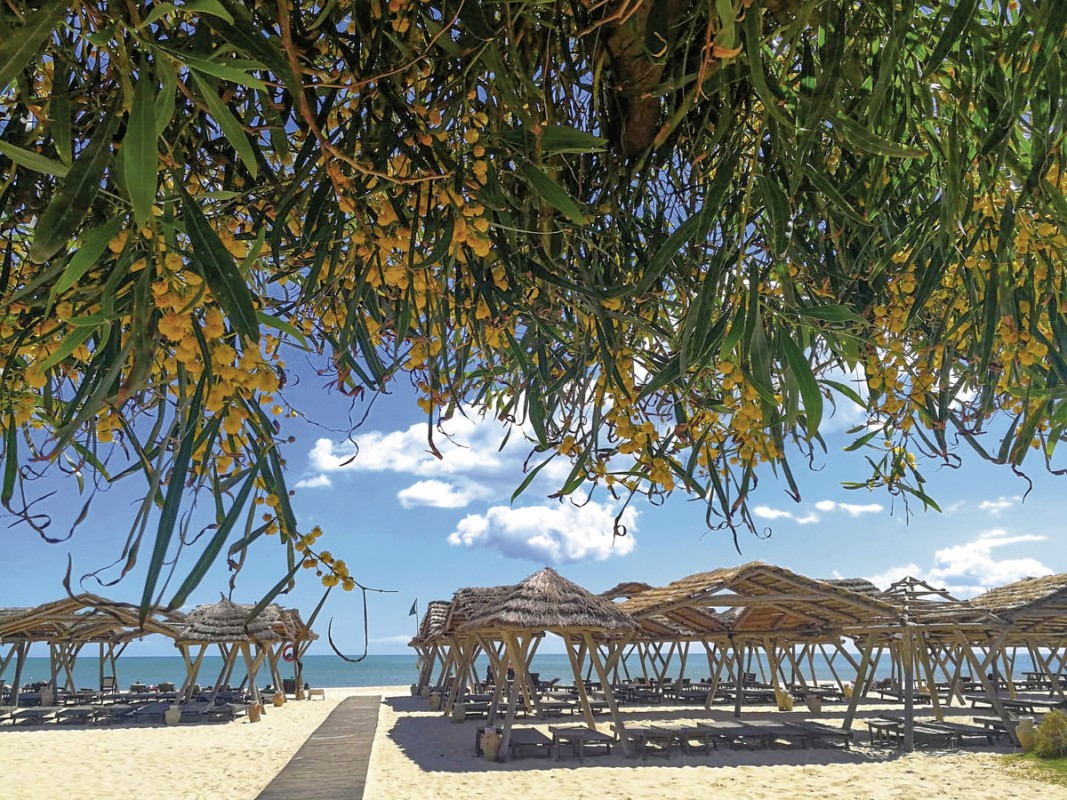 Hotel Les Orangers Beach Resort, Tunesien, Hammamet, Bild 38