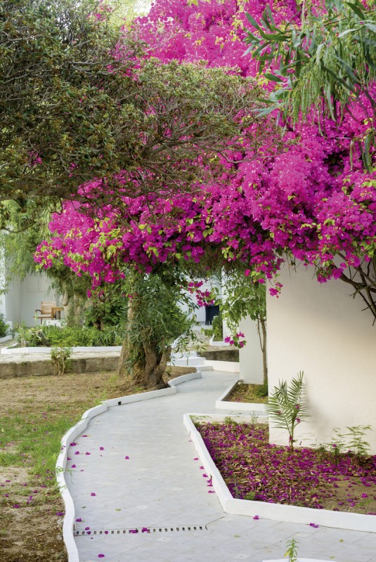 Hotel The Sindbad, Tunesien, Hammamet, Bild 33