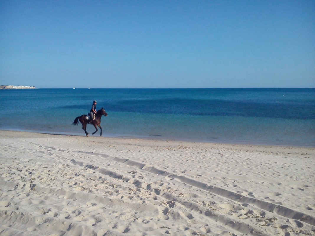 Hotel Sentido Phenicia, Tunesien, Hammamet, Bild 20