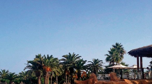 Hotel Sentido Phenicia, Tunesien, Hammamet, Bild 18