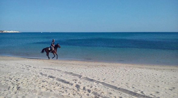 Hotel Sentido Phenicia, Tunesien, Hammamet, Bild 22