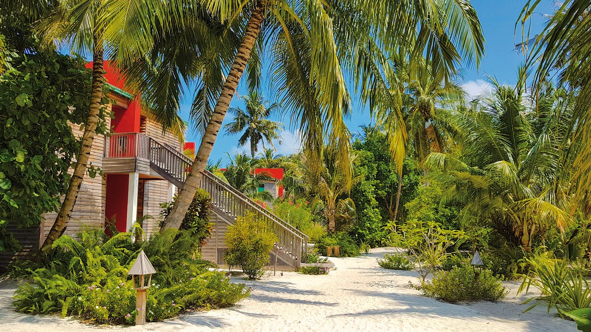 The Barefoot Eco Hotel, Malediven, Hanimaadhoo, Bild 18