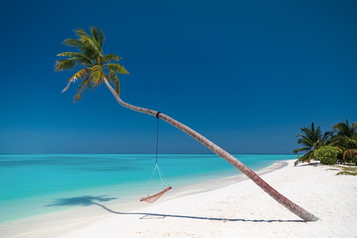 Hotel Meeru Maldives Resort Island, Malediven, Meeru, Bild 2