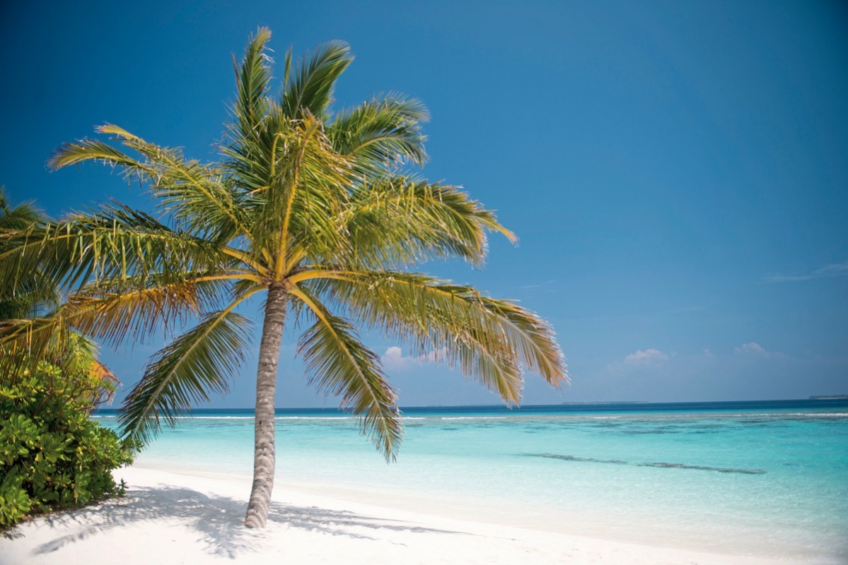 Hotel Coco Palm Dhuni Kolhu, Malediven, Baa Atoll, Bild 30