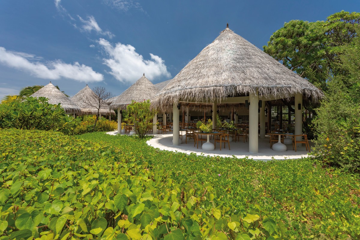 Hotel Cocoon Maldives, Malediven, Ookolhufinolhu, Bild 34