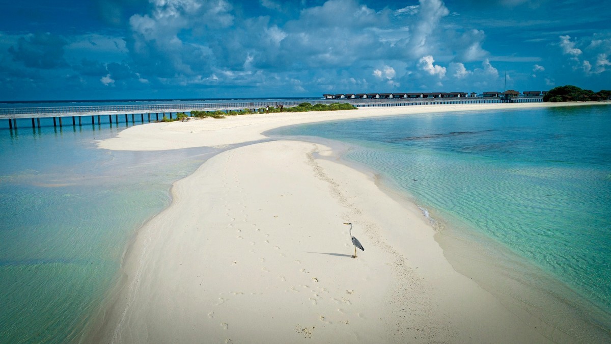 Hotel The Residence Maldives at Dhigurah, Malediven, Dhigurah, Gaafu Alif Atoll, Bild 2