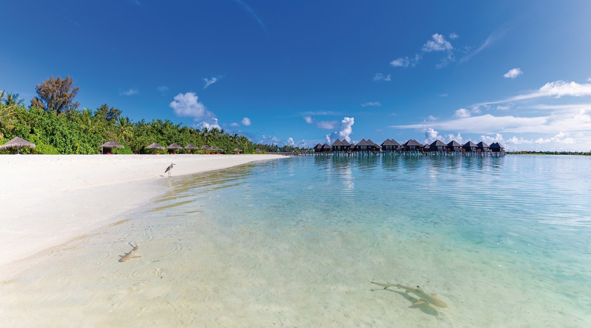 Hotel Sun Siyam Olhuveli Maldives, Malediven, Olhuveli, Bild 3