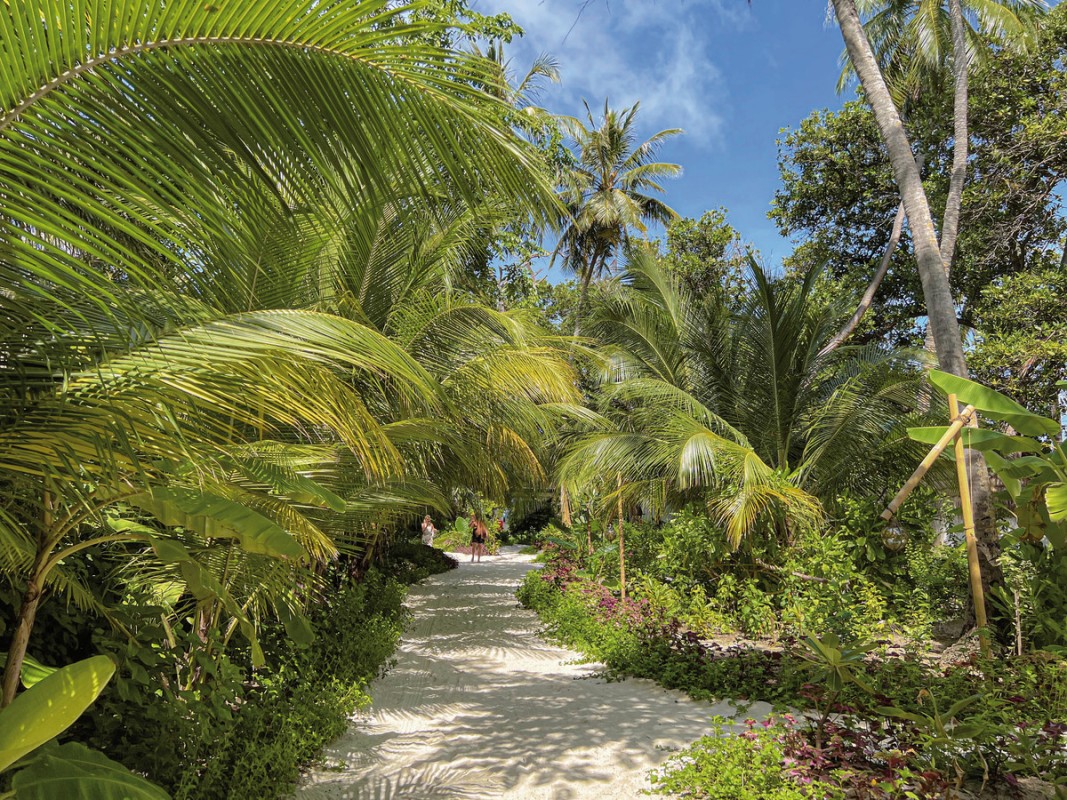 Hotel Malahini Kuda Bandos, Malediven, Nord Male Atoll, Bild 28