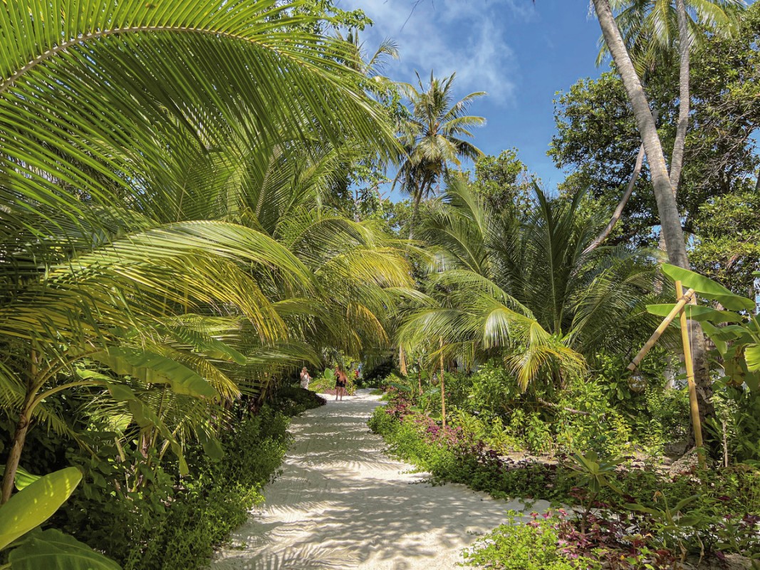 Hotel Malahini Kuda Bandos, Malediven, Nord Male Atoll, Bild 37