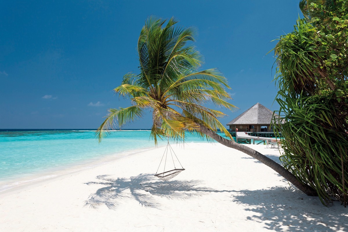 Hotel Vilamendhoo Island Resort & Spa, Malediven, Süd Ari Atoll, Bild 2