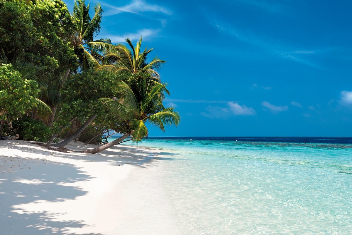 Hotel Vilamendhoo Island Resort & Spa, Malediven, Süd Ari Atoll, Bild 4