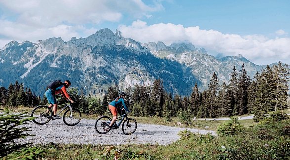 Hotel-Alpengasthof "Löwen", Deutschland, Allgäu, Oberjoch, Bild 23