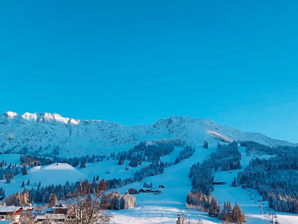 Hotel-Alpengasthof "Löwen", Deutschland, Allgäu, Oberjoch, Bild 14