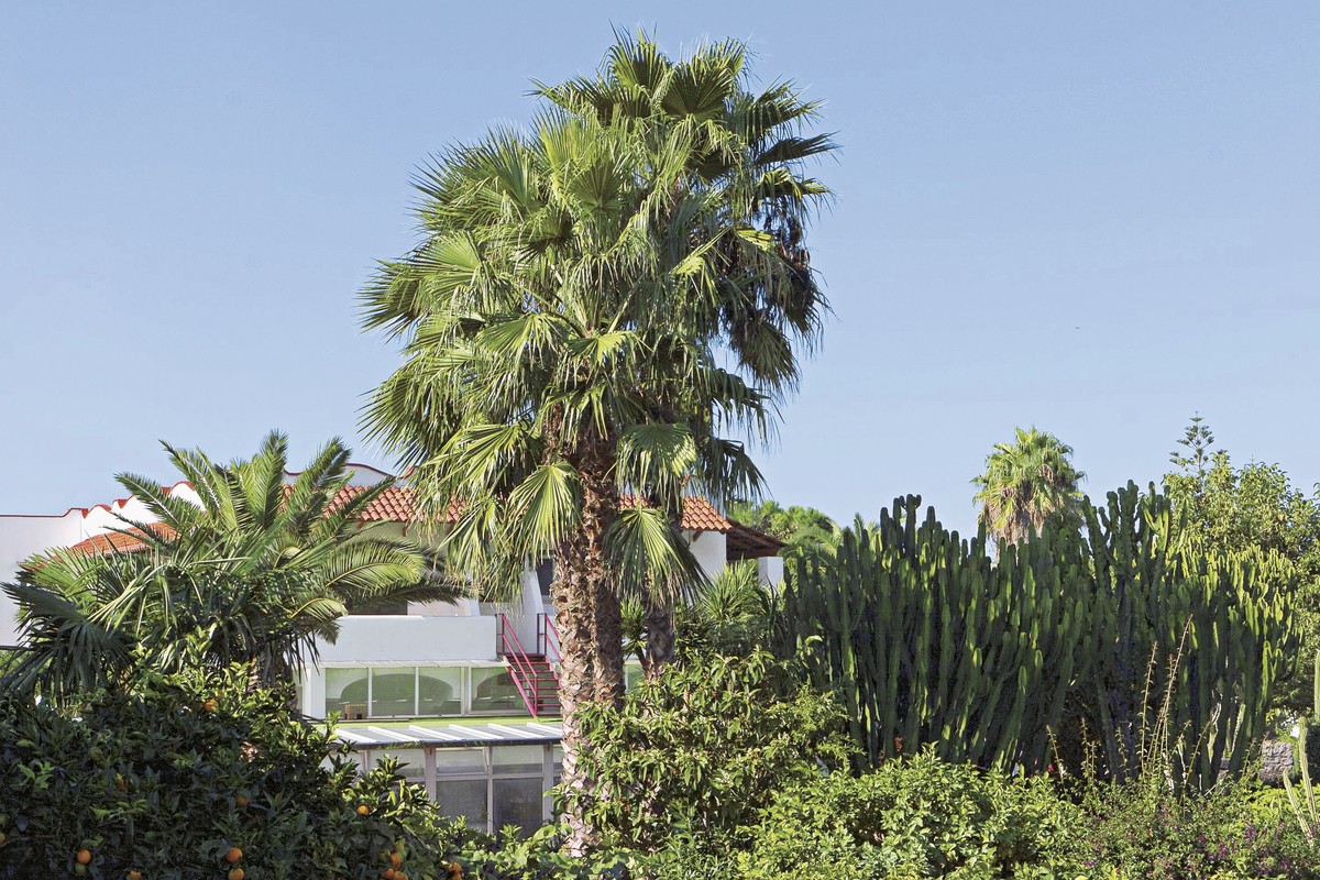 Park Hotel Terme Mediterraneo, Italien, Ischia, Forio, Bild 4