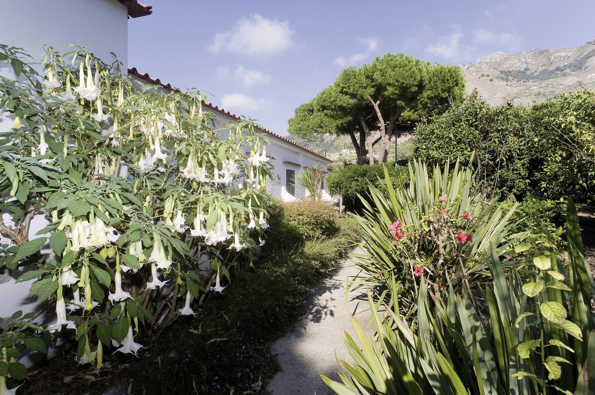 Park Hotel Terme Mediterraneo, Italien, Ischia, Forio, Bild 9