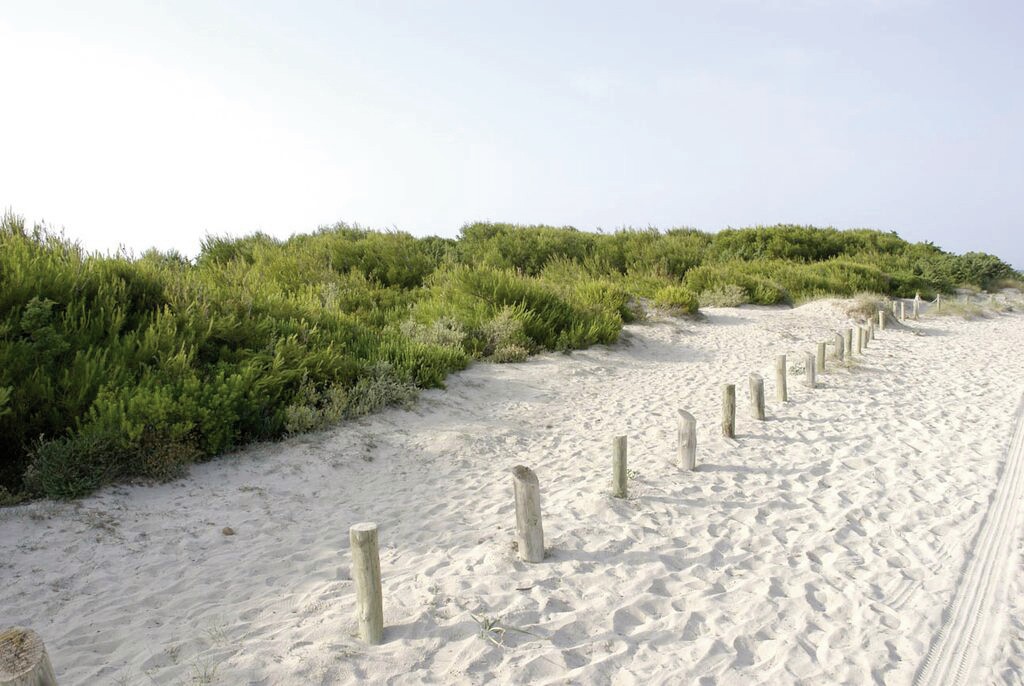 Hotel Es Bauló Petit, Spanien, Mallorca, Can Picafort, Bild 9