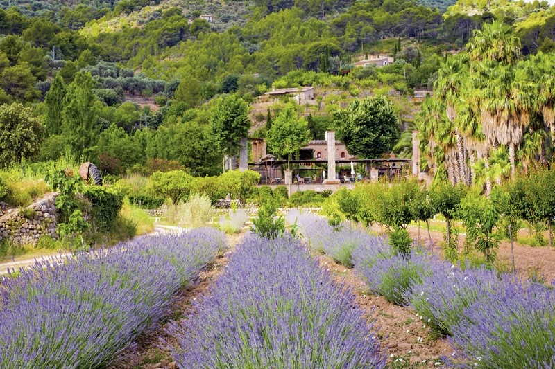 Hotel Finca Ca N'Ai, Spanien, Mallorca, Puerto de Sóller, Bild 16