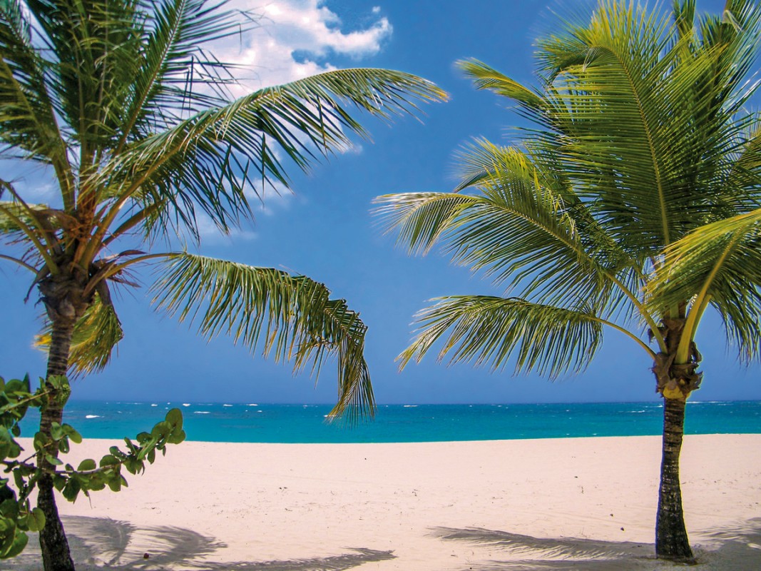 Hotel Viva Heavens by Wyndham, Dominikanische Republik, Puerto Plata, Bild 10