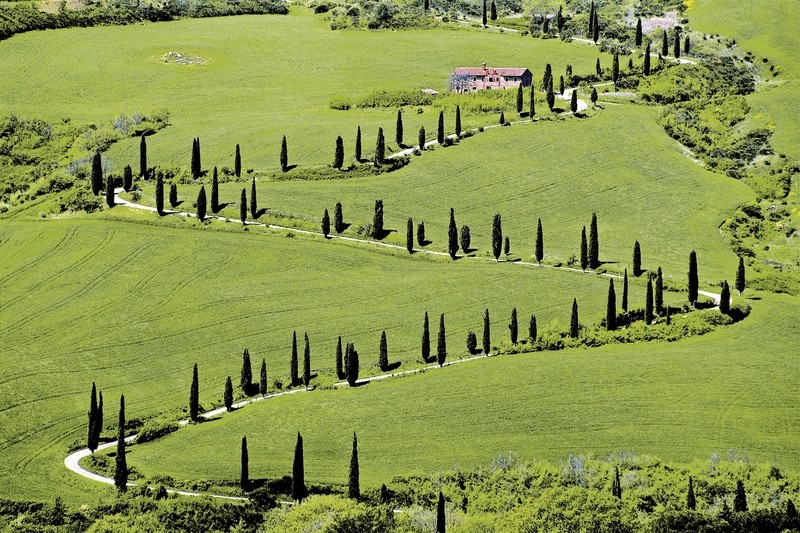 Rundreise Autotour durch die Toskana und Umbrien, Italien, Toskana, Pisa, Bild 1