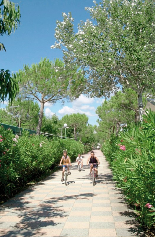 Hotel Camping Free Beach (by Happy Camp), Italien, Toskana, Marina di Bibbona, Bild 16