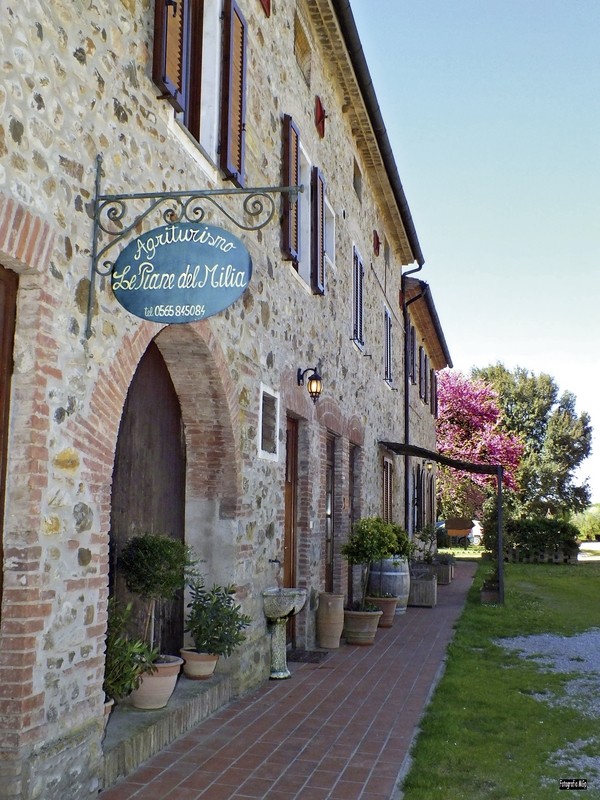 Hotel Agriturismo Le Piane del Milia, Italien, Toskana, Suvereto, Bild 5