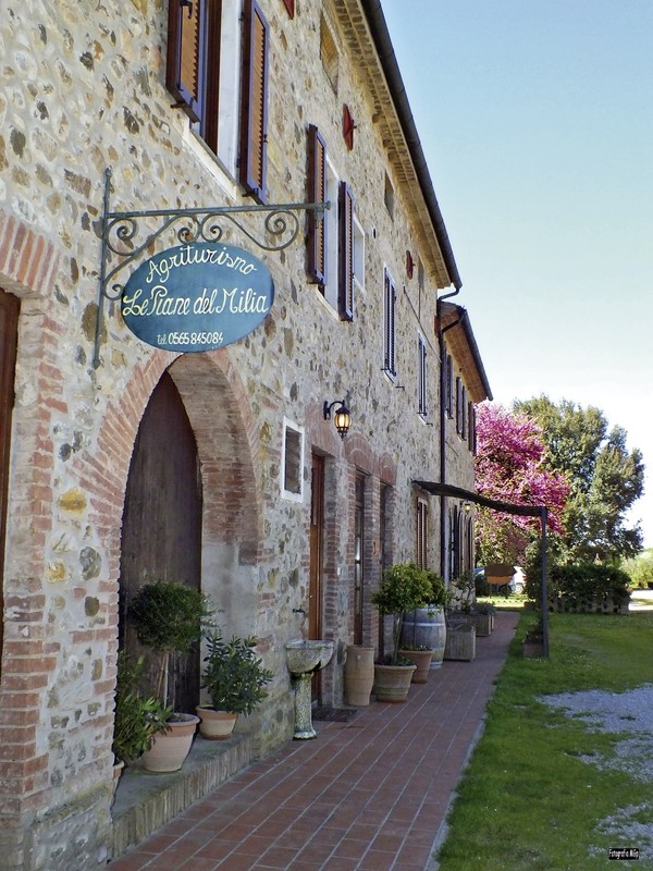 Hotel Agriturismo Le Piane del Milia, Italien, Toskana, Suvereto, Bild 7