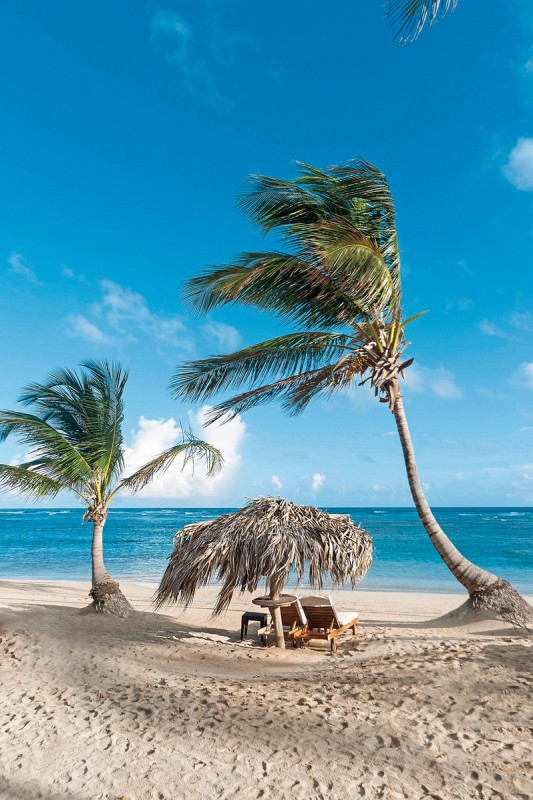 Hotel Zoetry Agua Punta Cana, Dominikanische Republik, Punta Cana, Bild 10