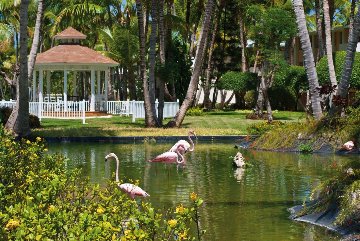 Hotel Catalonia Bávaro, Dominikanische Republik, Punta Cana, Bild 10