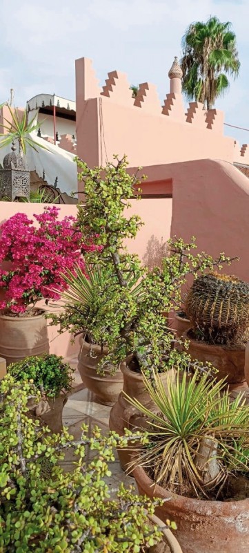 Hotel Riad Ifoulki, Marokko, Marrakesch, Bild 35