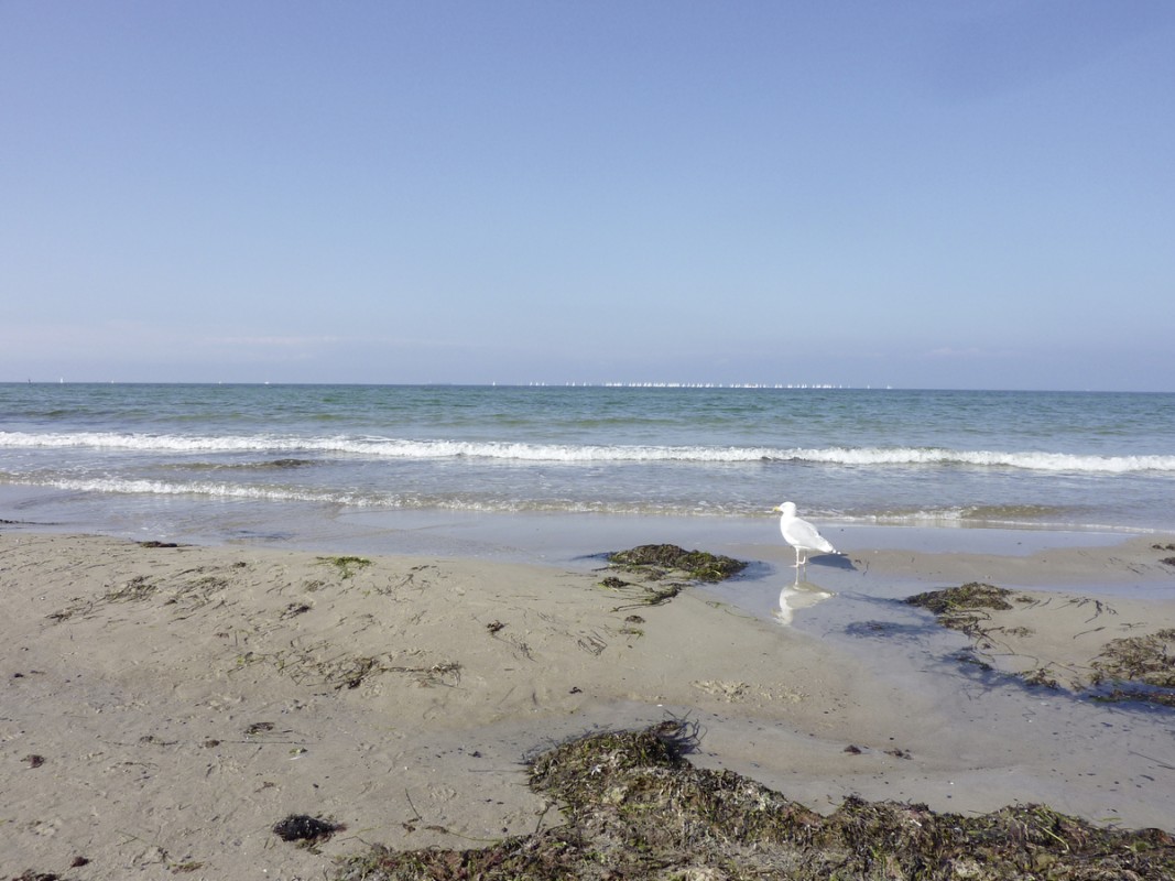 Strand-Hotel Hübner, Deutschland, Ostseeküste, Warnemünde, Bild 22