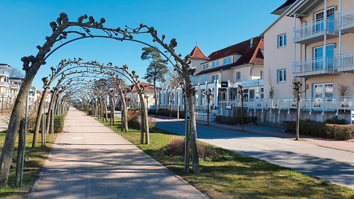 Hotel R&R Strandhotel Baabe, Deutschland, Insel Rügen, Ostseebad Baabe, Bild 11