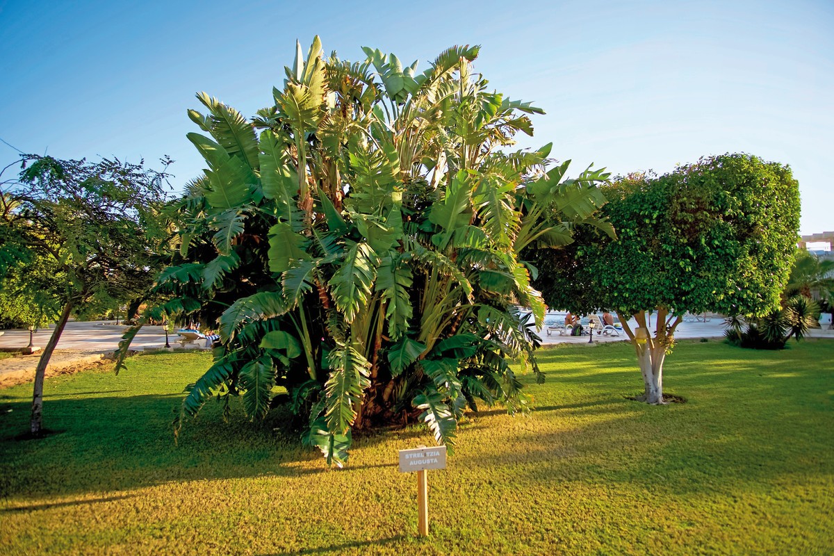 Hotel Brayka Bay Resort, Ägypten, Marsa Alam, Bild 10
