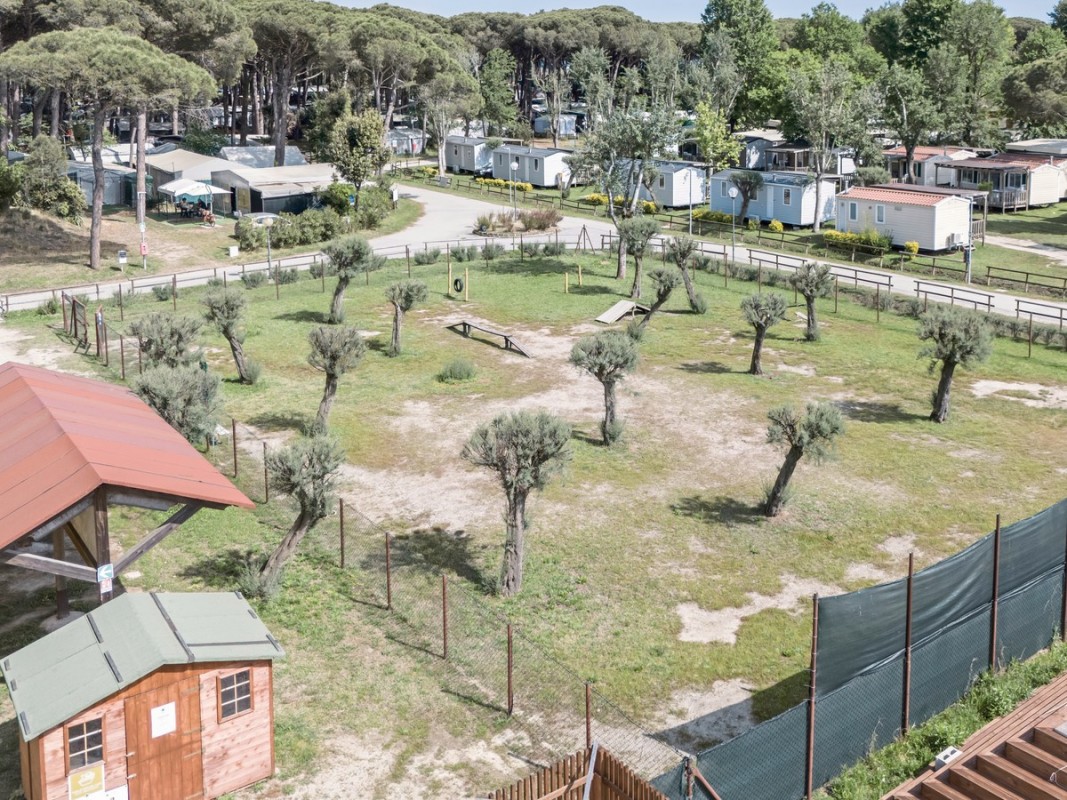 Hotel Sentido Spina Premium Camp, Italien, Adria, Lido di Spina, Bild 52