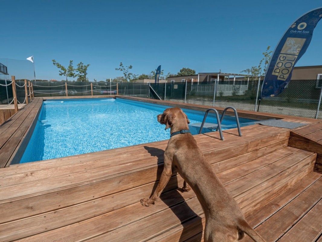 Hotel Sentido Riccione Premium Camp, Italien, Adria, Riccione, Bild 52
