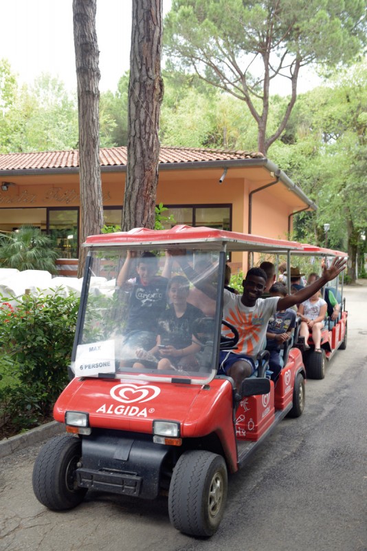 Hotel Camping Mare e Pineta (by Albatross), Italien, Adria, Lido di Spina, Bild 12